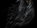 death_in_the_dark_by_anarkyman-dw6dh8.jpg